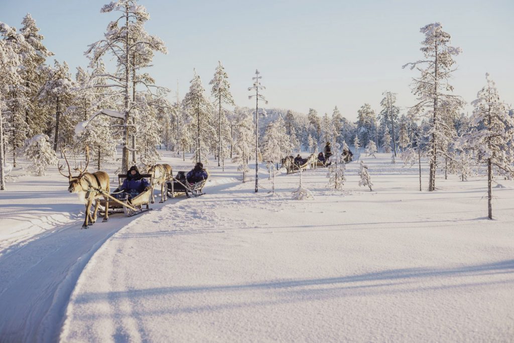 Viaje a Laponia - Navidades en salla
