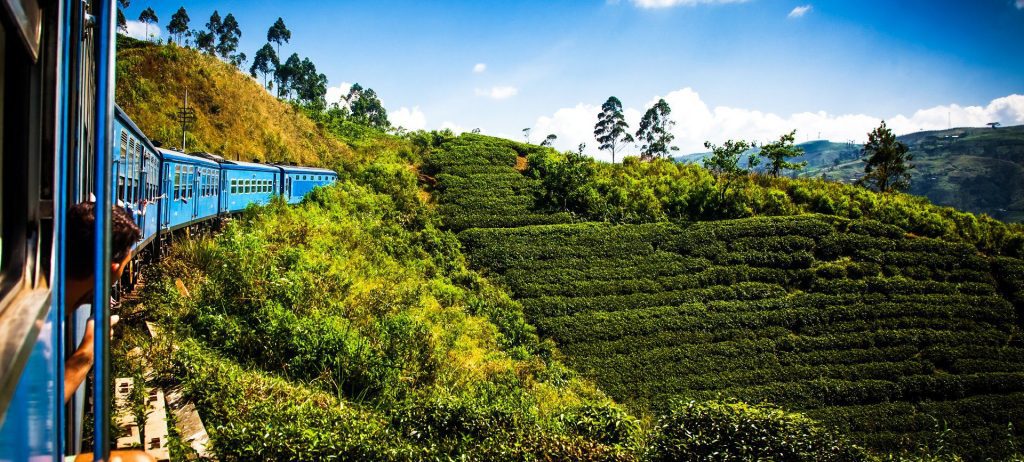 Increíble naturaleza durante un viaje a Sri Lanka con RC Viajes